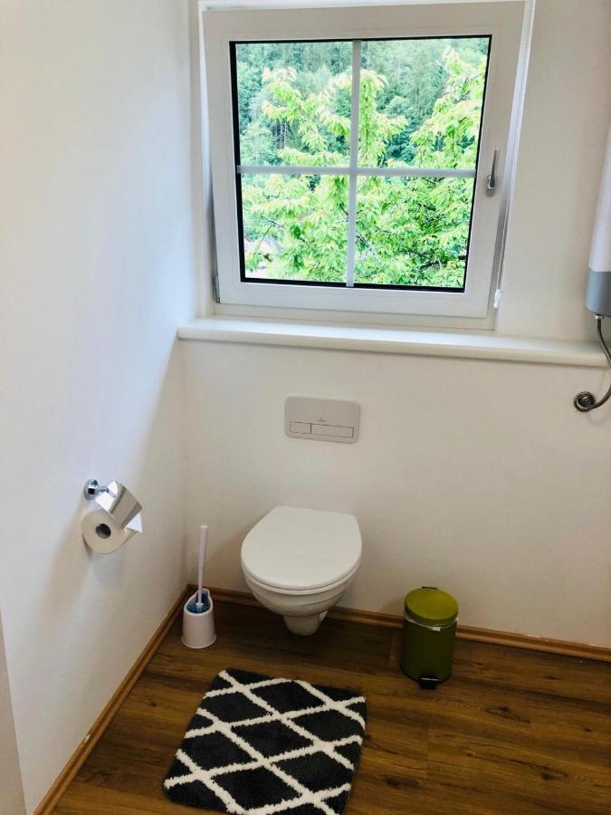 Alpine Appartments Ausseerland บาดเอาส์ซี ภายนอก รูปภาพ